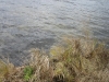 img_2275_0.jpg