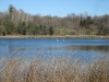 img_2318.jpg