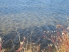 img_2334.jpg