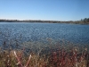 img_2335.jpg